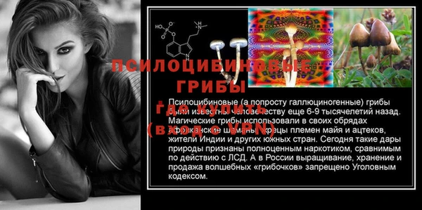 героин Алексин