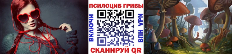 Псилоцибиновые грибы Cubensis  купить наркотики сайты  Томари 