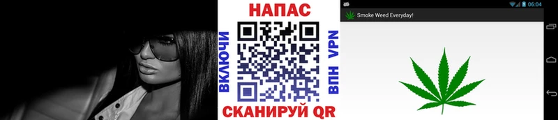 Шишки марихуана Bruce Banner  хочу   Томари 